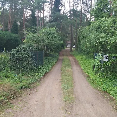 Tuczno Dom W Lesie * Pruszewiec