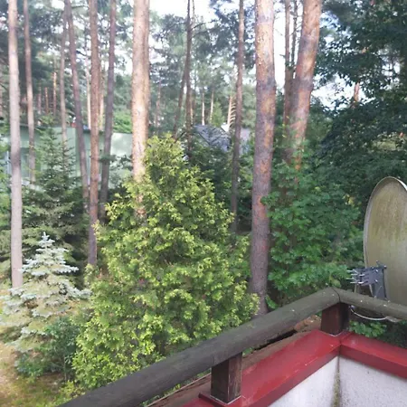 Holiday home Tuczno Dom W Lesie Skorzecin
