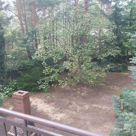 Tuczno Dom W Lesie Pruszewiec