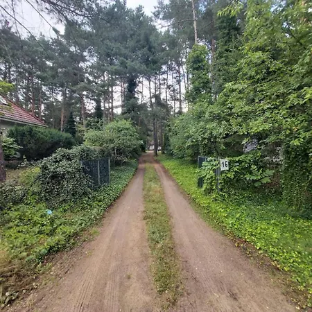Tuczno Dom W Lesie Holiday home *