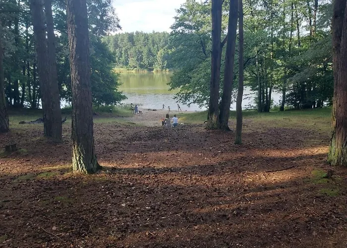 Tuczno Dom W Lesie Holiday home