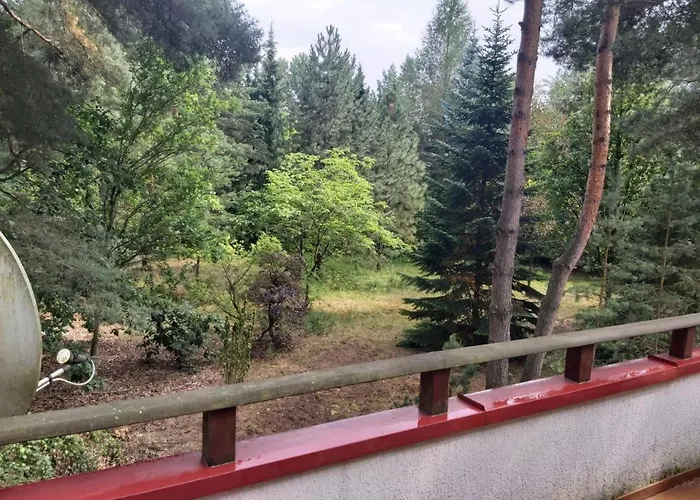 Tuczno Dom W Lesie Holiday home Pruszewiec