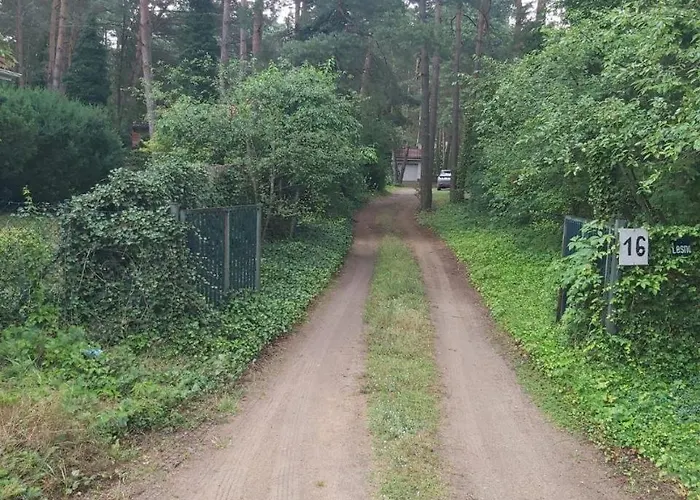 Tuczno Dom W Lesie * Pruszewiec