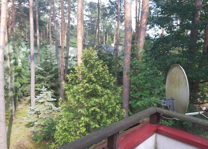 Holiday home Tuczno Dom W Lesie Pruszewiec