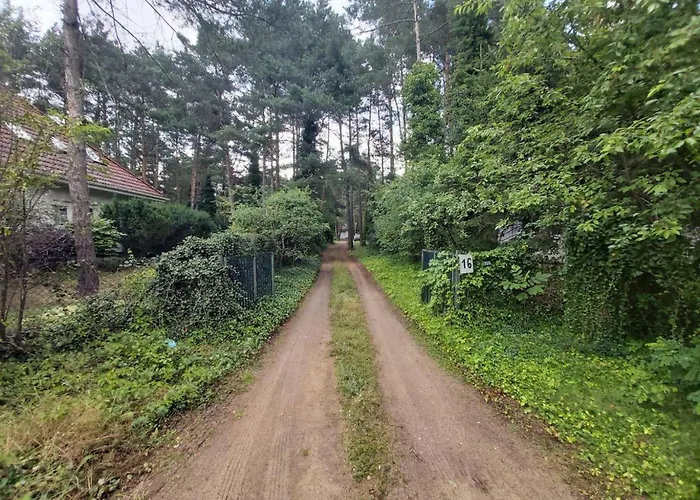 Tuczno Dom W Lesie Holiday home *